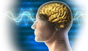 LIVE Treatment Neurofeedback Clinic and Training in Los Angeles, CA